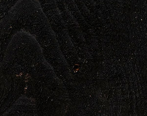 Fence Stain Contractor in Upstate of South Carolina