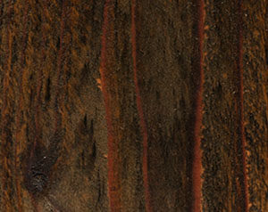 Fence Stain Contractor in Upstate of South Carolina